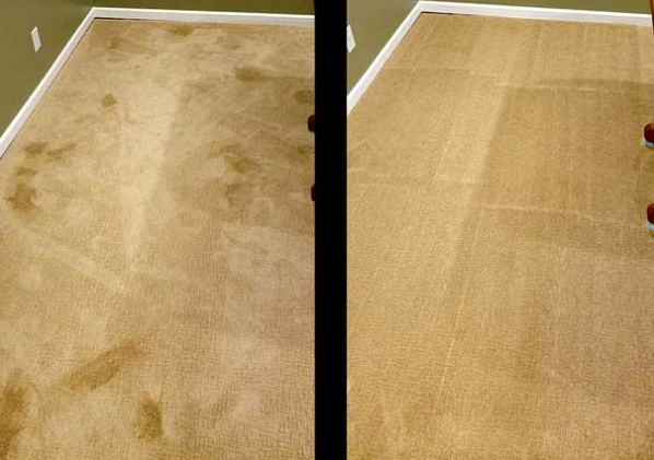 Williams M.'s review